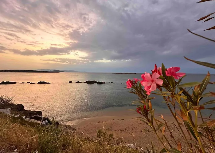酒店 克里纳基斯海滩酒店 *