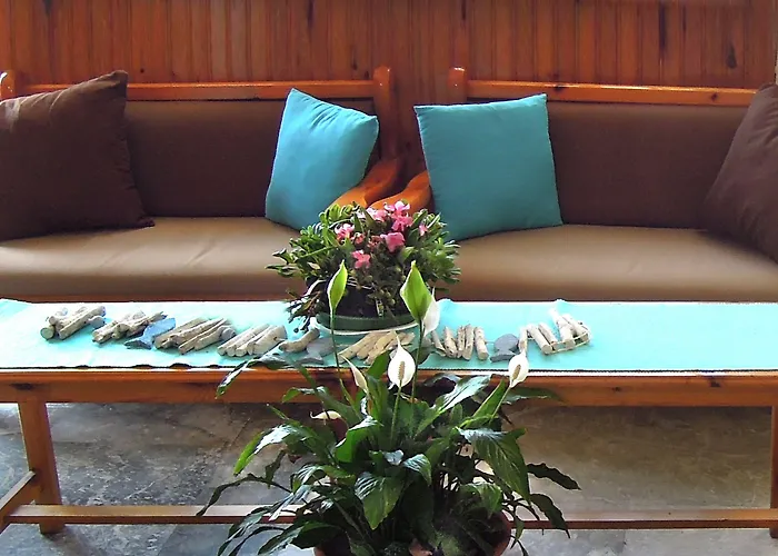 克里纳基斯海滩酒店 干尼亞