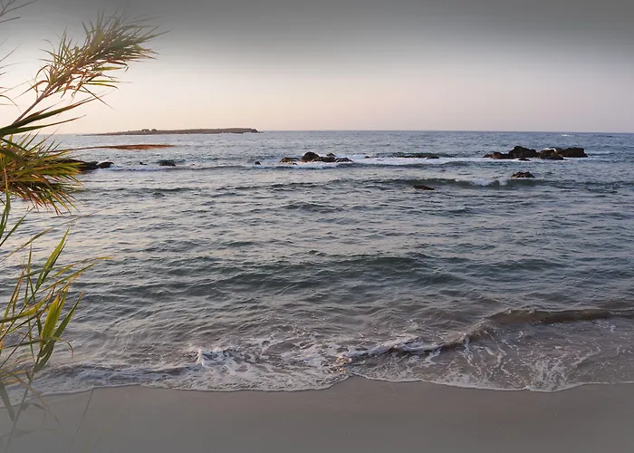 克里纳基斯海滩酒店 酒店 *