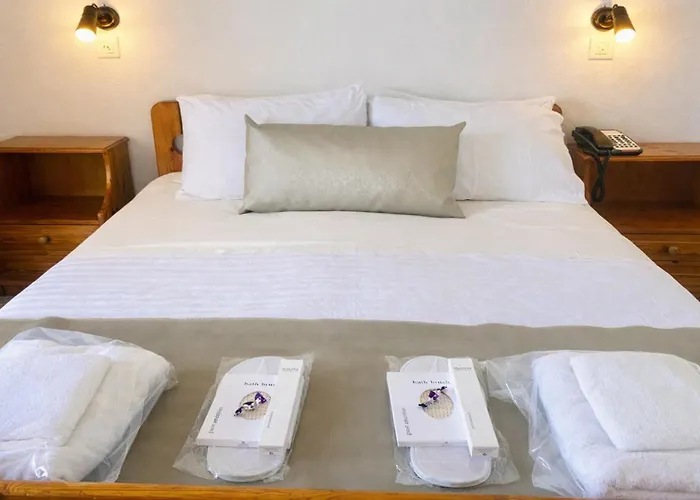 克里纳基斯海滩酒店 酒店 *