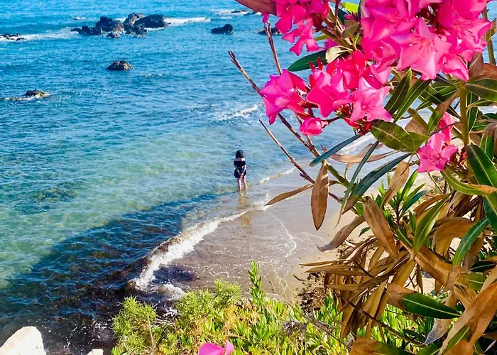 克里纳基斯海滩酒店 * 干尼亞